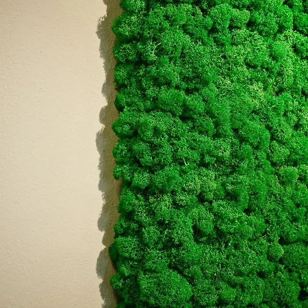 By Gruene Zur Post - 100 % Bio & Ceconi *