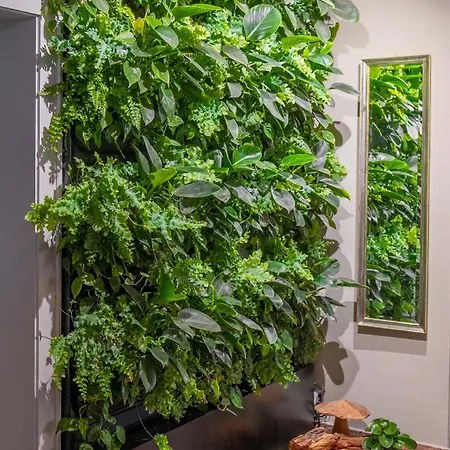 Apartmán By Gruene Zur Post - 100 % Bio & Ceconi Solnohrad