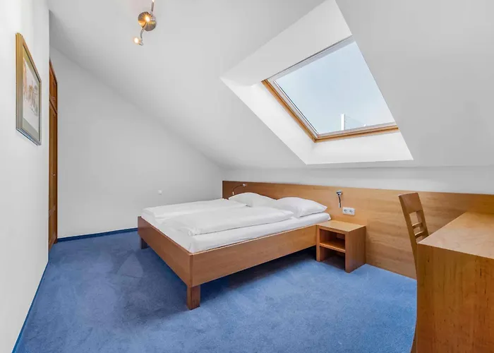 By Gruene Zur Post - 100 % Bio & Ceconi